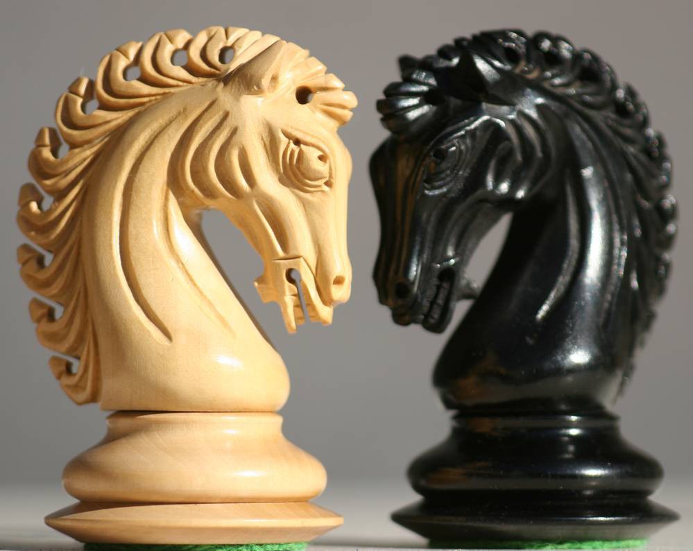 2 коня шахматы. Шахматный конь. Конь шахматы. Шахматная фигура конь. Фигура коня в шахматах.
